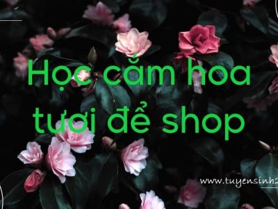 Học cắm hoa tươi để shop| Nơi đào tạo uy tính tại Tp hcm