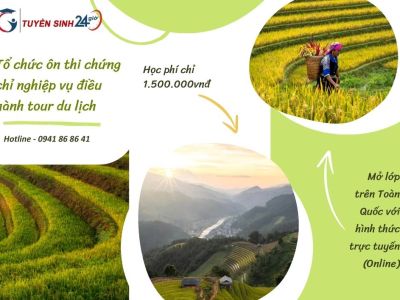 Tổ chức ôn thi chứng chỉ nghiệp vụ điều hành tour du lịch