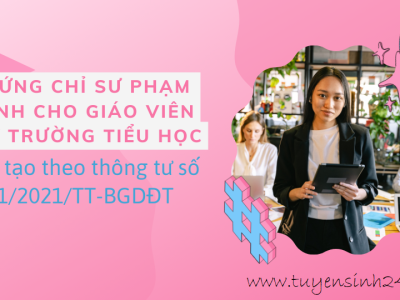 Chứng chỉ sư phạm dành cho Giáo viên dạy trường tiểu học| Đào tạo theo thông tư số 11/2021/TT-BGDĐT