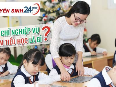 Chứng chỉ sư phạm tiểu học|Khóa học bồi dưỡng nghiệp vụ sư phạm giáo viên dạy tiểu học