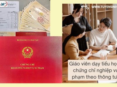 Giáo viên dạy tiểu học cần chứng chỉ nghiệp vụ sư phạm theo thông tư mới