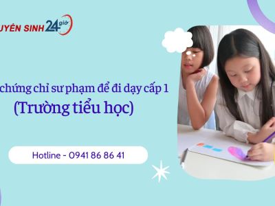 Học chứng chỉ sư phạm để đi dạy cấp 1 (Trường tiểu học)