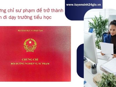 Học chứng chỉ sư phạm để trở thành giáo viên đi dạy trường tiểu học