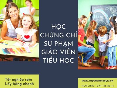 Học chứng chỉ sư phạm Giáo viên tiểu học| Tốt nghiệp sớm - Lấy bằng nhanh
