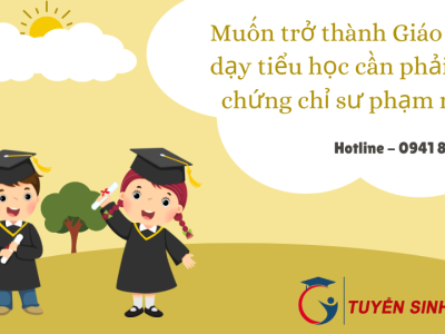 Muốn trở thành Giáo viên dạy tiểu học cần phải học chứng chỉ sư phạm nào ?