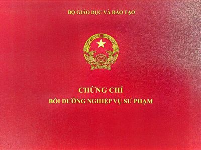 Chiêu sinh đào tạo chứng chỉ sư phạm dành cho giảng viên đại học tại TP HCM