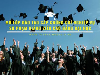 Mở lớp đào tạo cấp chứng chỉ nghiệp vụ sư phạm Giảng viên cao đẳng đại học