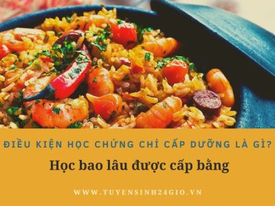 Điều kiện học chứng chỉ cấp dưỡng là gì? Học bao lâu được cấp bằng