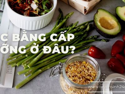 Lớp học cấp dưỡng mầm non| Đào tạo chứng chỉ ngắn hạn