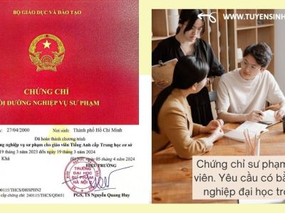 Chứng chỉ sư phạm Giáo viên. Yêu cầu có bằng tốt nghiệp đại học trở lên