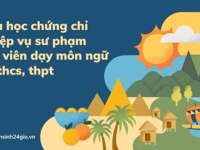Khóa học chứng chỉ Nghiệp vụ sư phạm Giáo viên dạy môn ngữ văn thcs, thpt