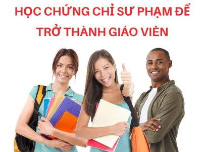 Tốt nghiệp ngôn ngữ anh, học chứng chỉ sư phạm để trở thành giáo viên