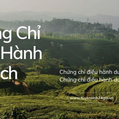 Chứng Chỉ Điều Hành Du Lịch