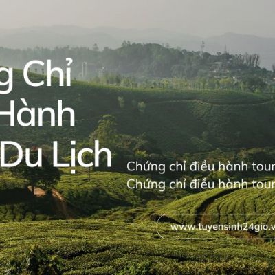 Chứng chỉ điều hành tour du lịch